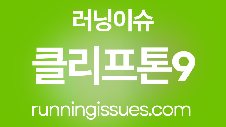 호카 플리프톤 9
