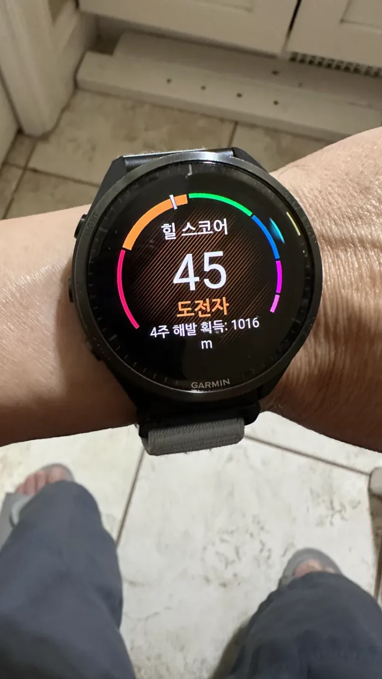 힐 스코어