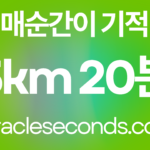 5km 20분