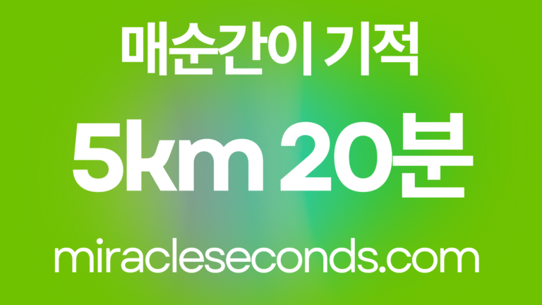 5km 20분